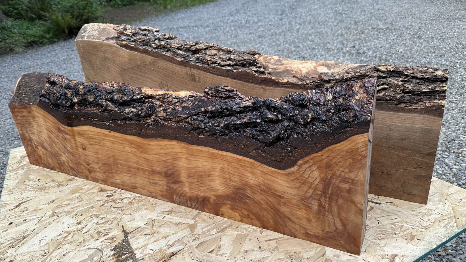 Two live-edge shelf blanks with oiled bark edges